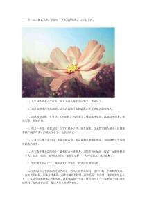 你，是我生命里的一抹陽光