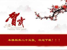 2012年元旦节专用ppt模版可满足晚会联欢会各种场合