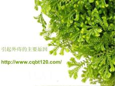 引起外痔的主要原因