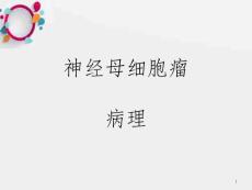 《神经母细胞瘤》ppt课件_ok