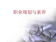 職業(yè)素養(yǎng)與規(guī)劃