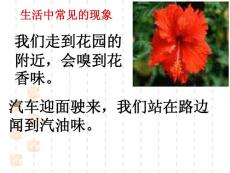 分子和原子GXL