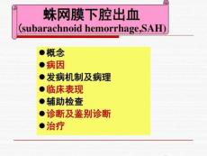 蛛网膜下腔出血课件