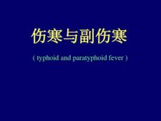 伤寒与副伤寒