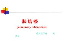 肺结核分析