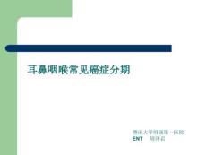 耳鼻喉癌症分期