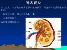 肾盂肾炎ppt