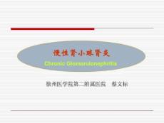 《慢性肾小球肾炎》