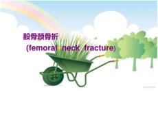 《股骨颈骨折护理》