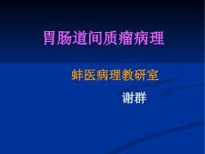 胃肠道间质瘤解读