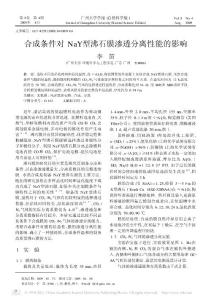 銑商跫訬aY型沸石膜滲透分離性能的影響