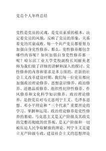 黨員個人年終總結