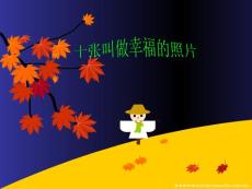 十張叫做幸福的照片