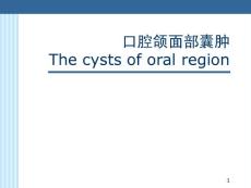 口腔颌面部囊肿