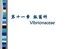微生物学检验课件--10.第十一章__弧菌科