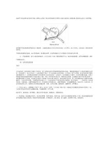 脂肪瘤介绍