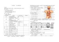第二章 复习   人体的营养导学案