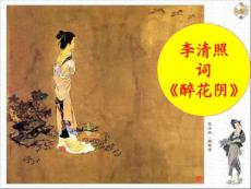 醉花阴_李清照