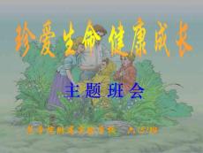 小学六年级《珍爱生命，健康成长》主题班会精品课件