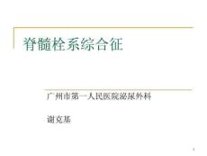 《脊髓栓系综合征》(1)ppt课件