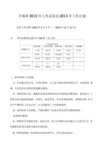手麻科总结及计划