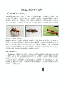 健康教育宣传—隐翅虫(学生超实用)