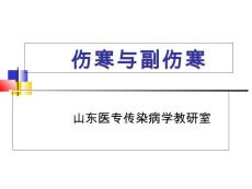 伤寒与副伤寒培训讲学