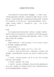 天疱疮中医诊疗指南