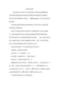 肺炎支原体