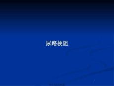 尿路梗阻(共22张PPT)