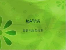 -iga肾病ppt课件