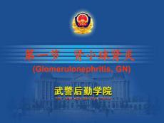 -肾炎-ppt课件