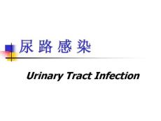尿路感染新