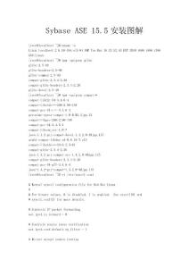 linux Sybase ASE 15.5安裝圖解