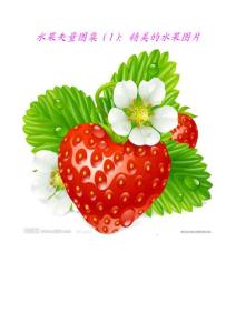 水果矢量图集（1）：精美的水果图片