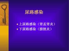 尿路感染PPT