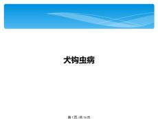 犬钩虫病(共14张PPT)