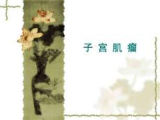 子宫肌瘤子宫肌瘤PPT