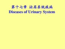 病理学肾小球肾炎与肾盂肾炎