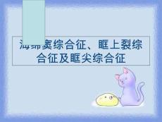（）海绵窦综合征、眶上裂综合征及眶尖综合征电子版本