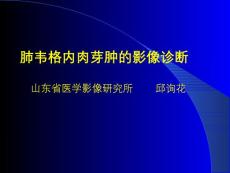 肺韦格内肉芽肿的影像诊断ppt课件
