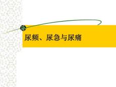 诊断学---尿频、尿急与尿痛ppt课件