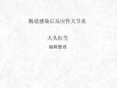 肠道感染后反应性关节炎ppt课件