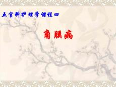 角膜病ppt课件