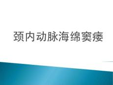 颈内动脉海绵窦瘘ppt课件