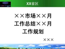 区域经理报告模板[1]