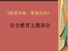 小学四年级主题班会精品课件《珍爱生命，重视安全》