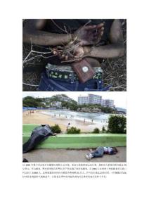 血雨腥風的墨西哥毒品戰(zhàn)爭