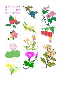 花卉矢量图大全（三）：精美鲜花图片，插图素材
