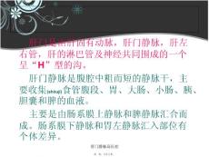 肝门静脉高压症课件